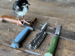 $10 vs $100 Survival Knife. Can a Budget Blade Really Hold Up?