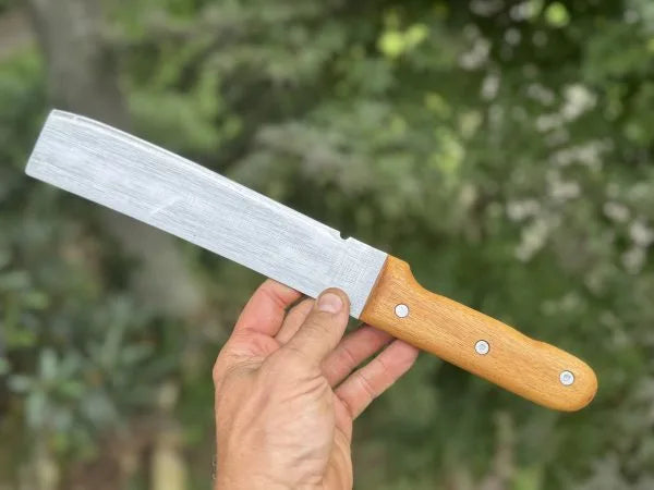 Featured Collection.